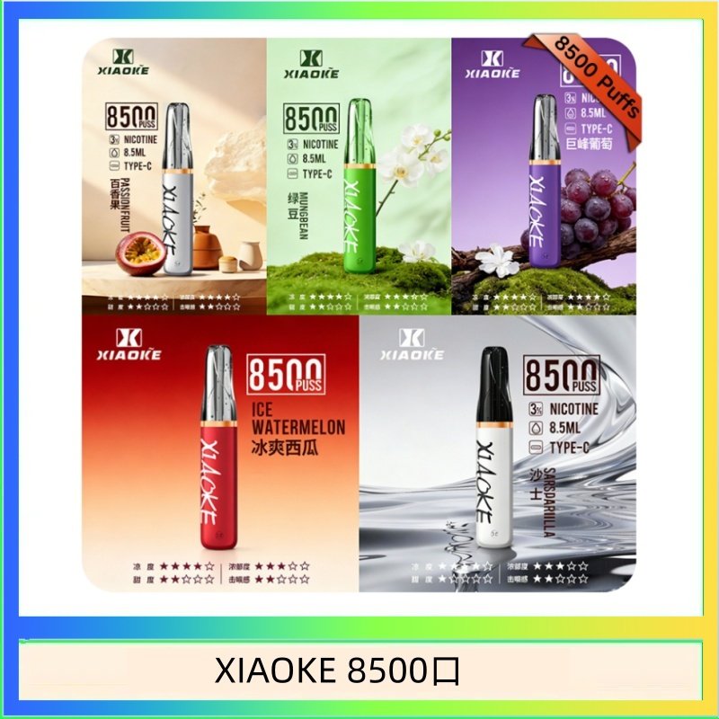 XIAOKE8500 梟客XIAOKE一次性電子菸拋棄式8500口